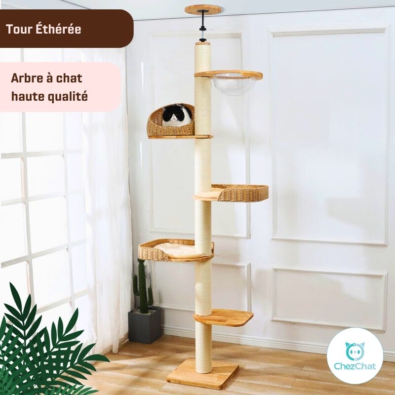 Arbre à chat - Tour Éthérée