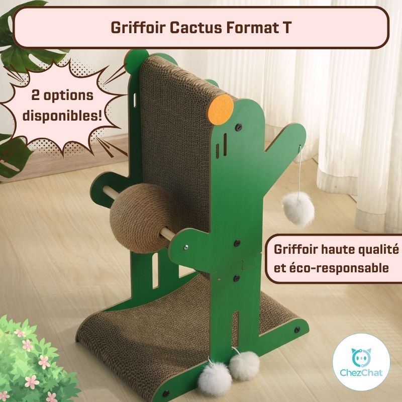 Griffoir Cactus Format T – ChezChat