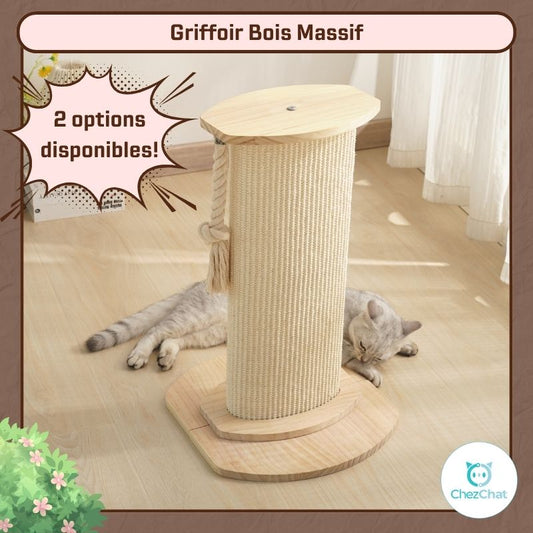 Griffoir Bois Massif