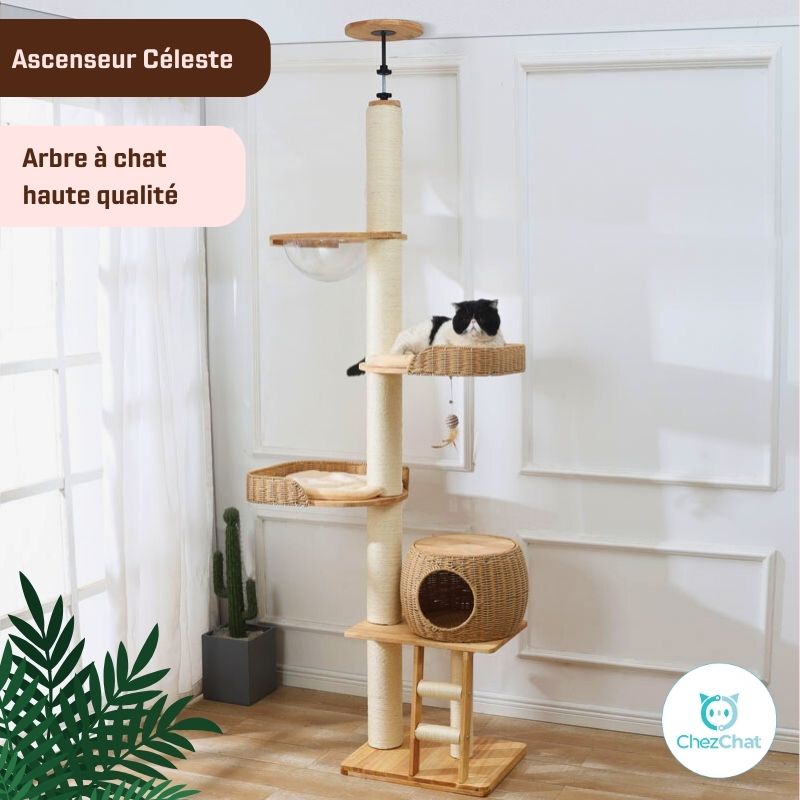 Arbre à chat - Ascenseur Céleste
