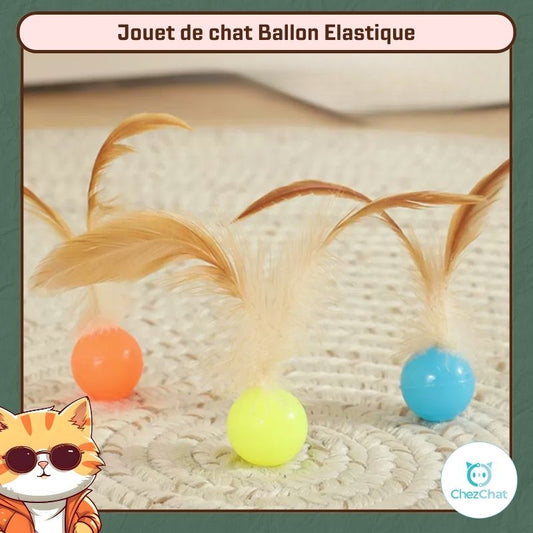 Jouet de chat Ballon Elastique