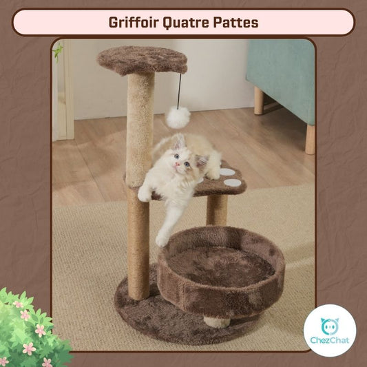 Griffoir Quatre Pattes