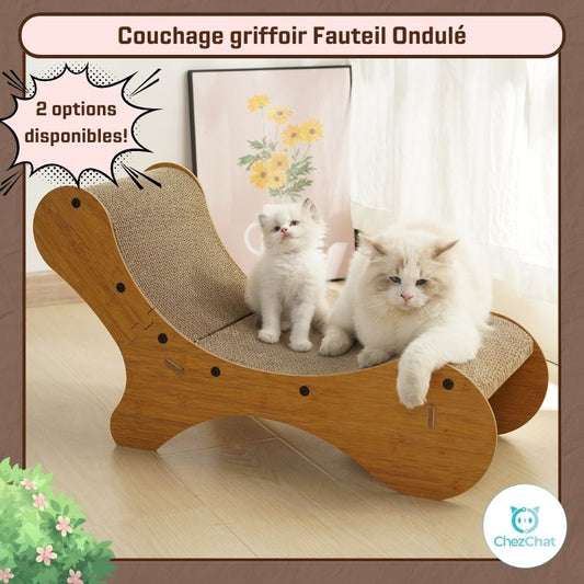 Un grand et un petit chat ragdoll posés sur le "Couchage griffoir Fauteil Ondulé" - Chez chat