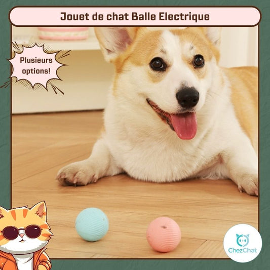 Jouet de chat Balle Electrique