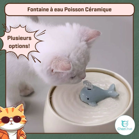 Fontaine à eau Poisson Céramique