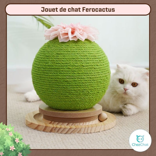 Jouet de chat Ferocactus - Chez chat