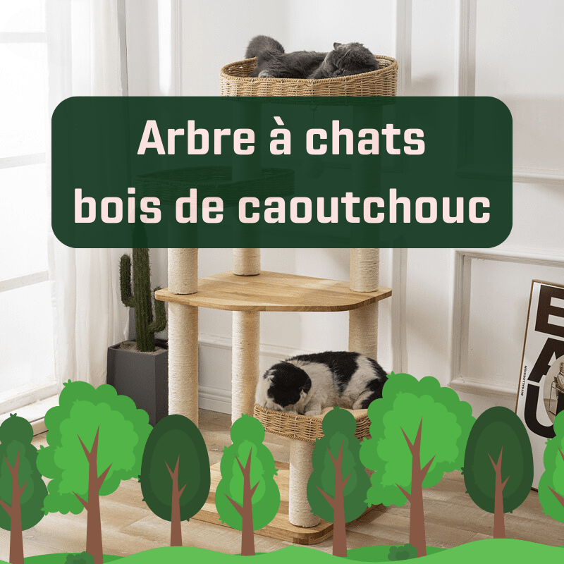 Arbre a Chat en Bois de Caoutchouc – ChezChat