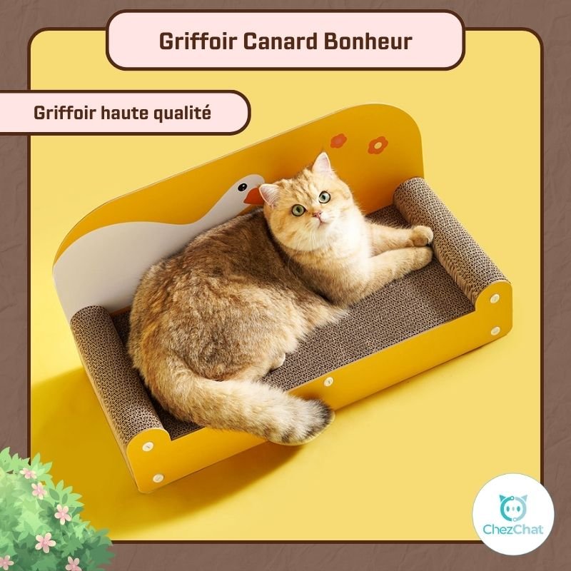Griffoir Canard Bonheur – ChezChat
