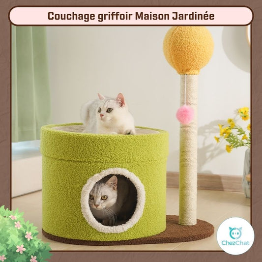 Deux chats jouant à l'intérieur du "Couchage griffoir Maison Jardinée" - Chez chat