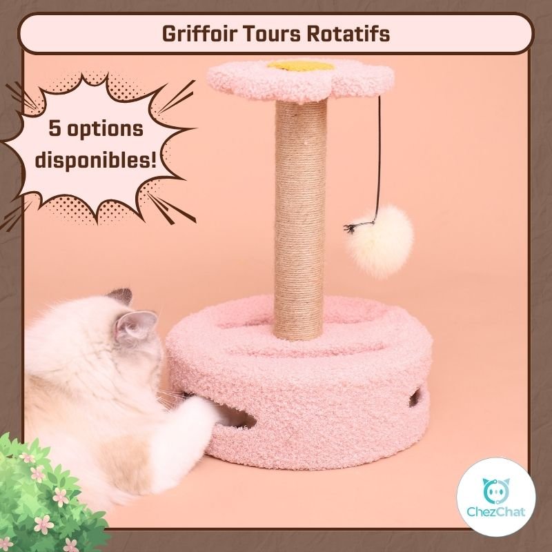 Griffoir Tours Rotatifs – ChezChat