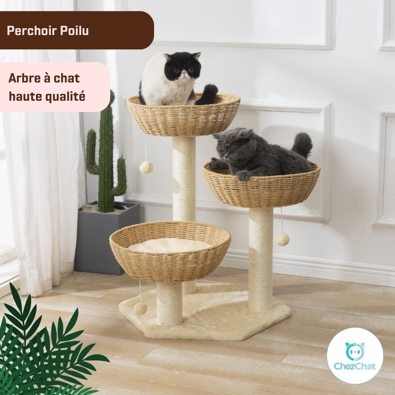 Arbre à Chat - Perchoir Poilu – ChezChat