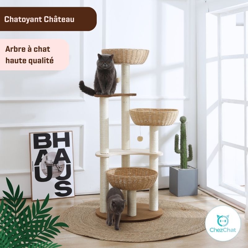ChezChat - Arbre à chat, Griffoirs, Jouets, Niches pour Chat