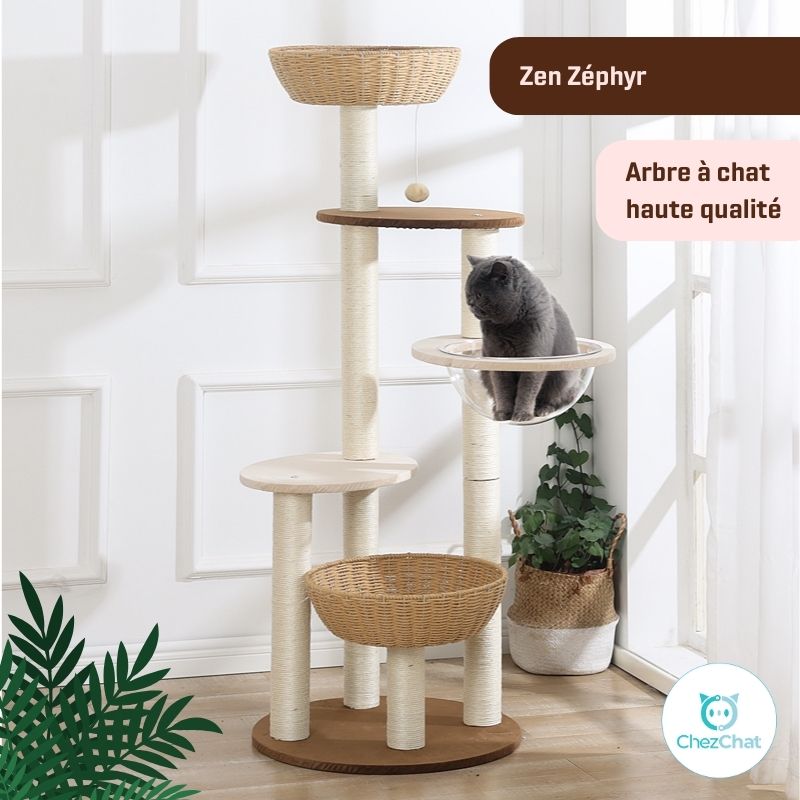 Arbre à Chat - Zen Zéphyr – ChezChat